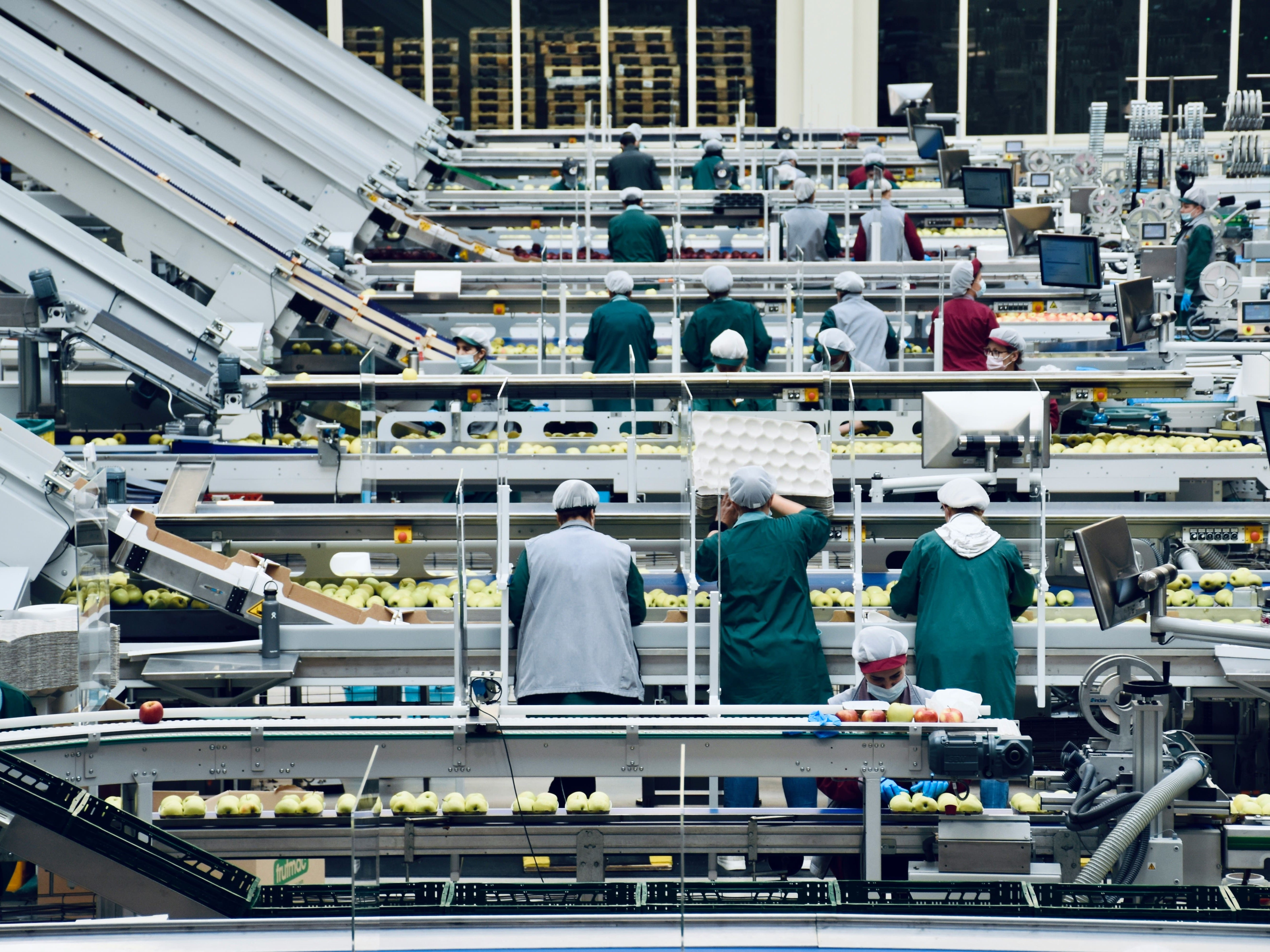 food production line food production line