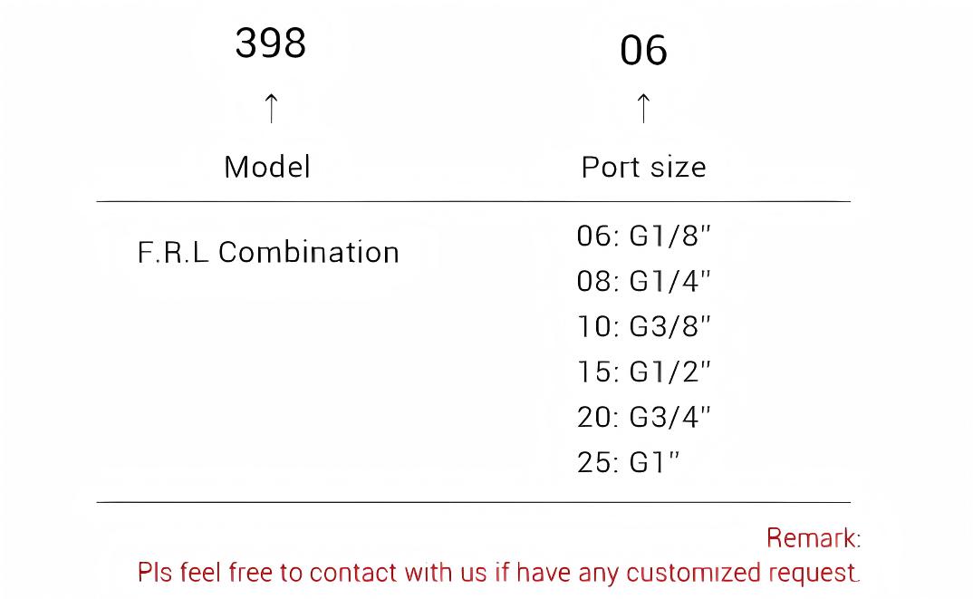 The 39 Series Hailong Type FRL Unit The 39 Series Hailong Type FRL