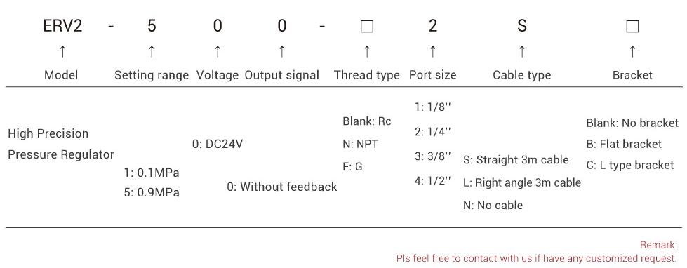 Electronic Precision Regulator Electronic Precision Regulator