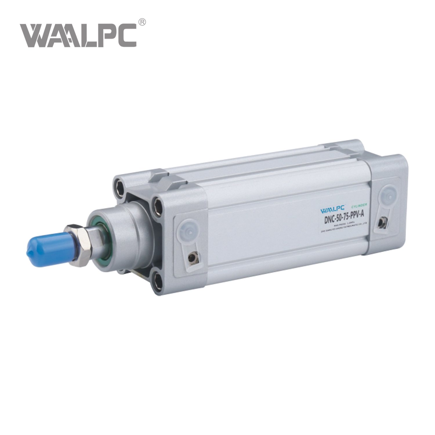 DNC Series Standard Cylinders: Complete Technical Profile