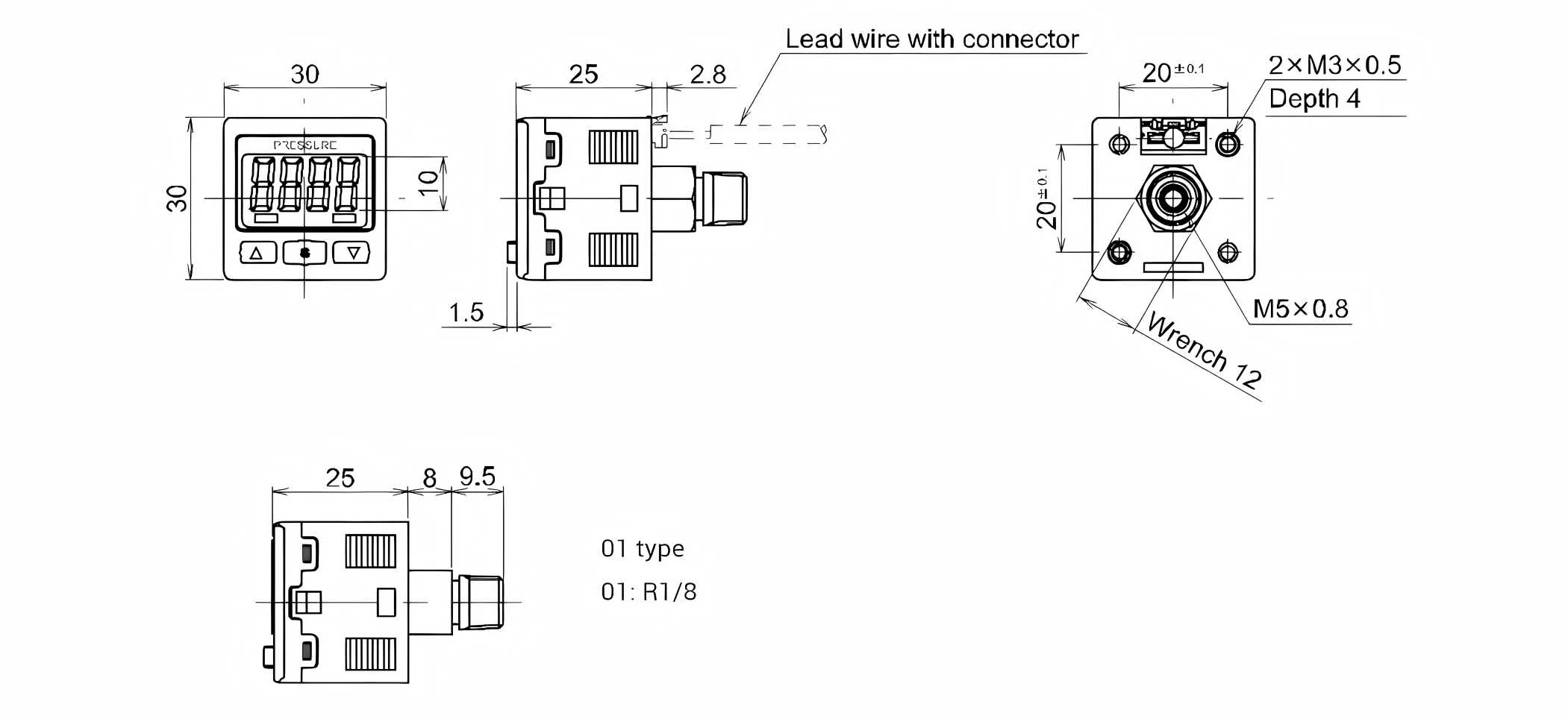 Digital pressure gauge