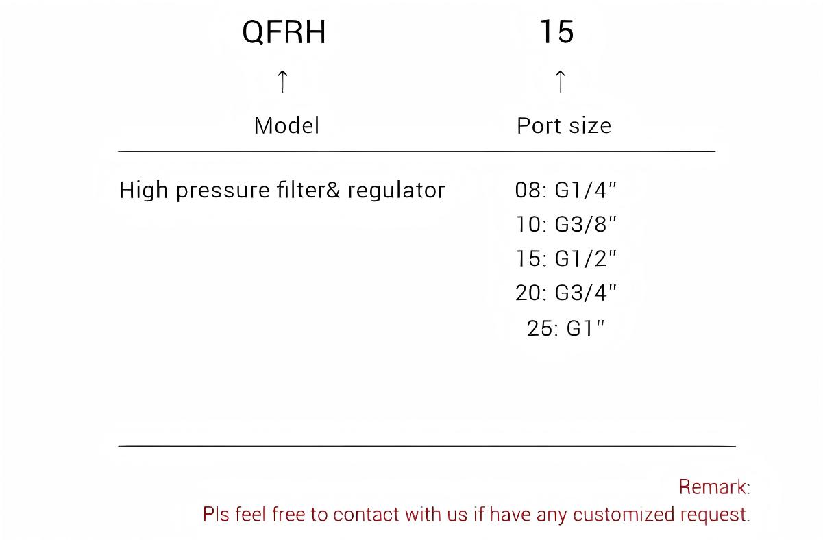 High Pressure Filter Regulator