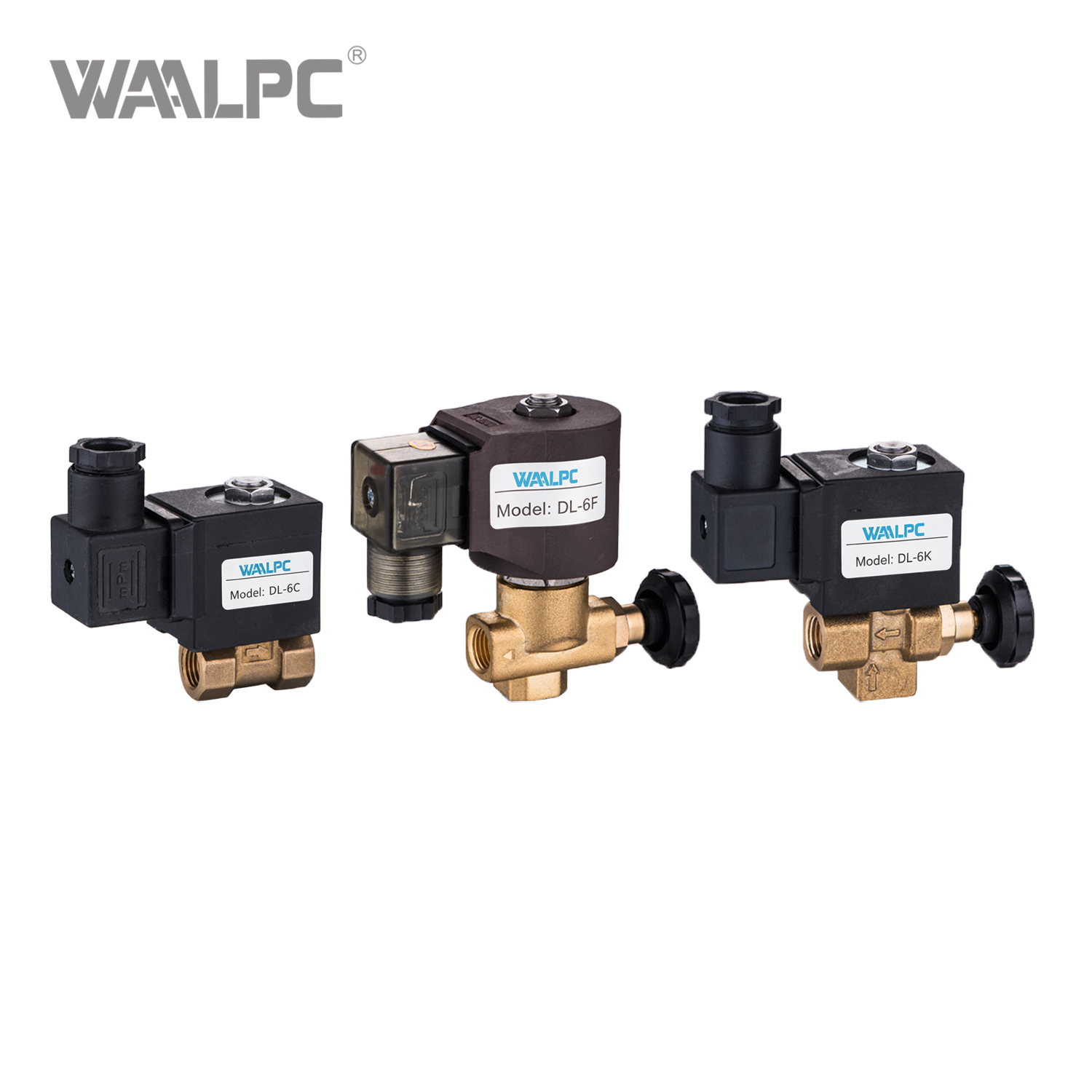DL Series Adjustable Steam Solenoid Valve for High Temperature Steam Control